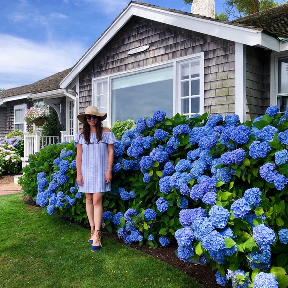 Meet your Seller✨ - Picture 5 of 5